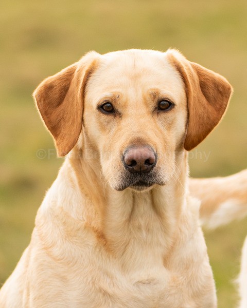 Anne -7 - Troon Easter Monday Drive 2026