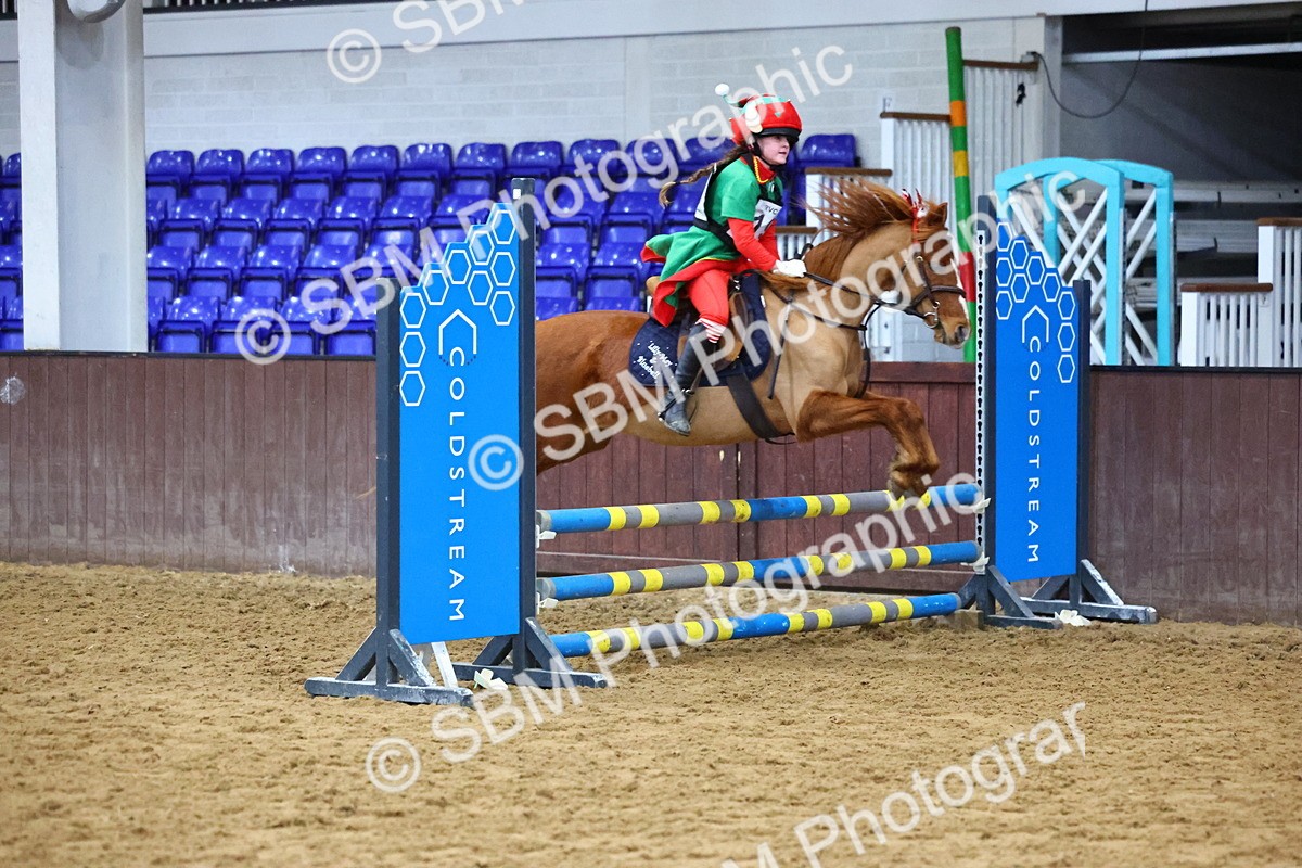 SBM_001457 - Class 3 - Christmas Tree Stakes - 60cm