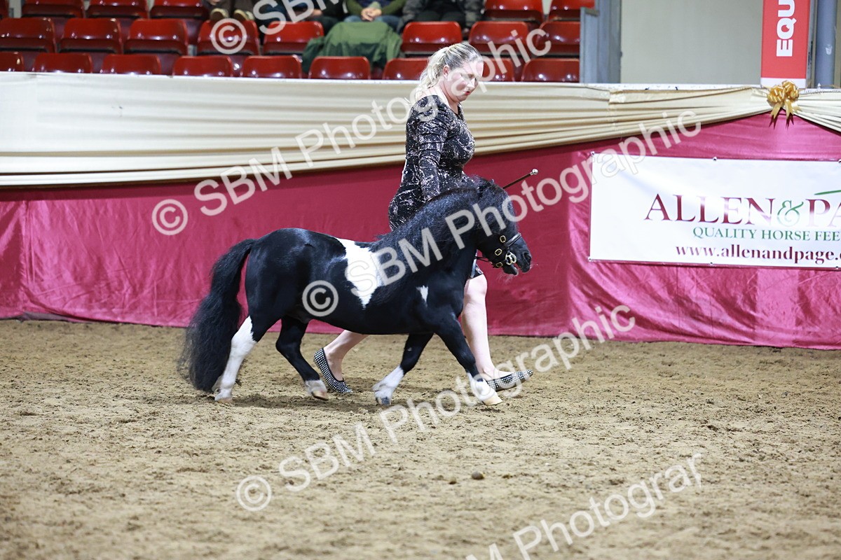 SBM_20811 - Class L - Coloured Champ