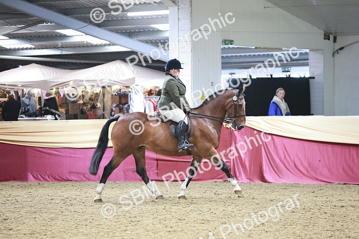 SBM_08212 - Class 11R - Regional Ridden Veteran