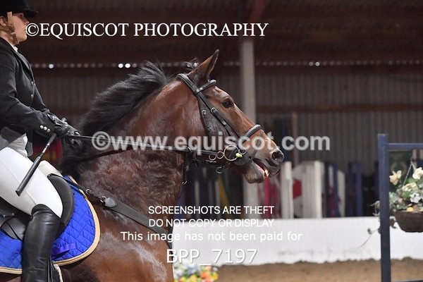 BPP_7197 - CLASS 4 Senior BritiNovice/ 90cm Open