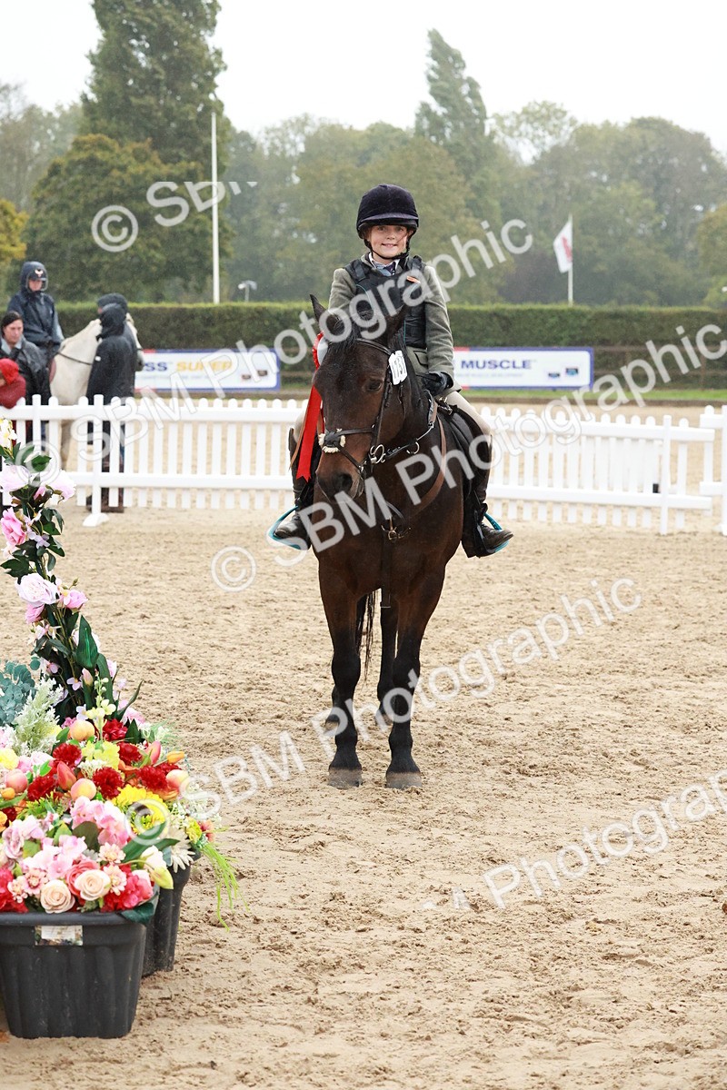 SBM_73633 - Supreme Championship Junior Pony 60cm & 65cm
