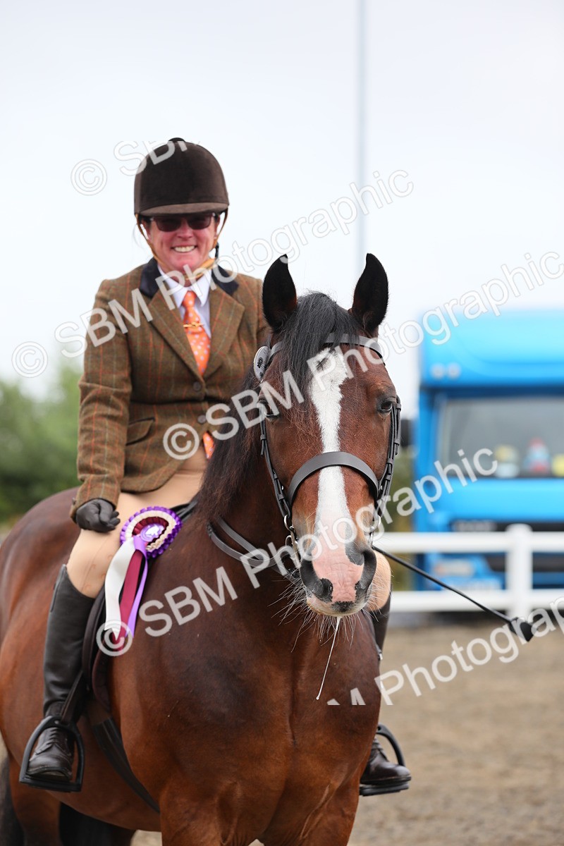SBM_21422 - Class 805 - Ridden Veteran Horse