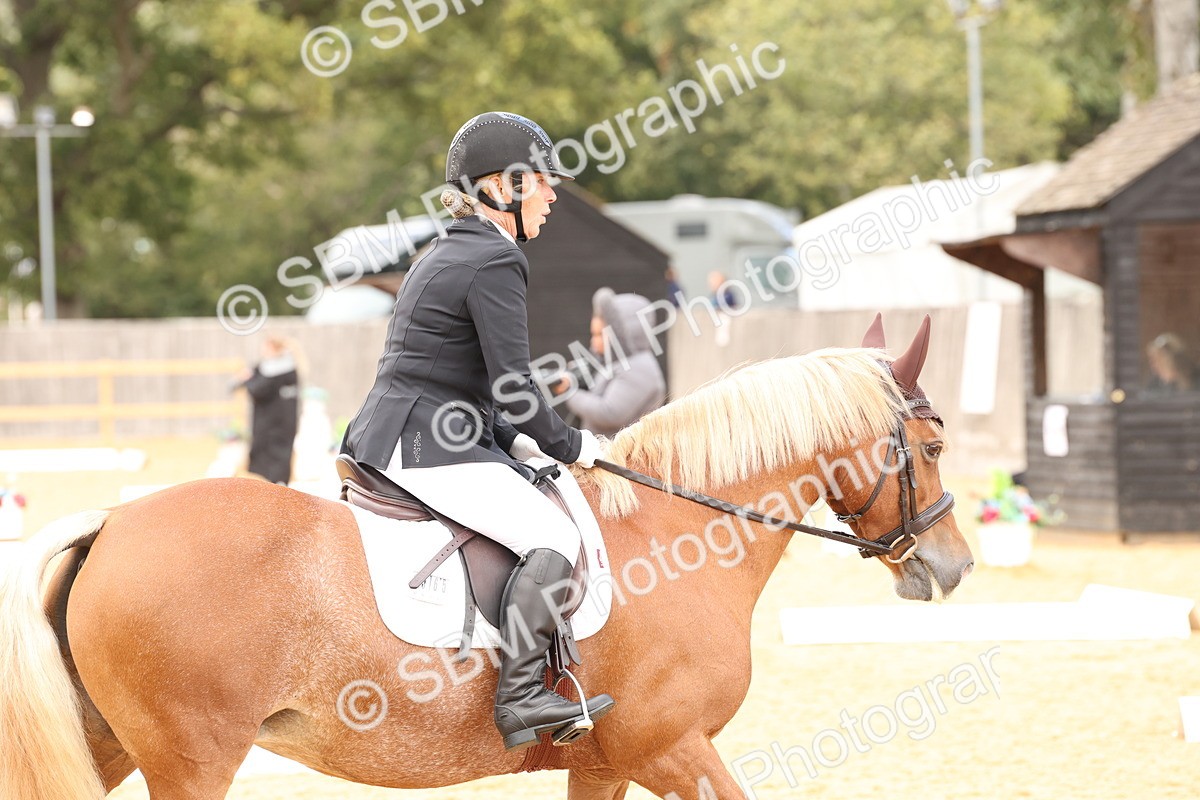 SBM_19530 - D10 - Small Tour Championship Prelim 2