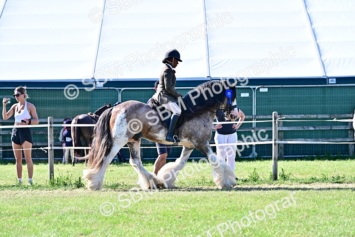 SBM_19560 - Class 101-102 - BSPS LIHS Performance Coloured Horse/Pony