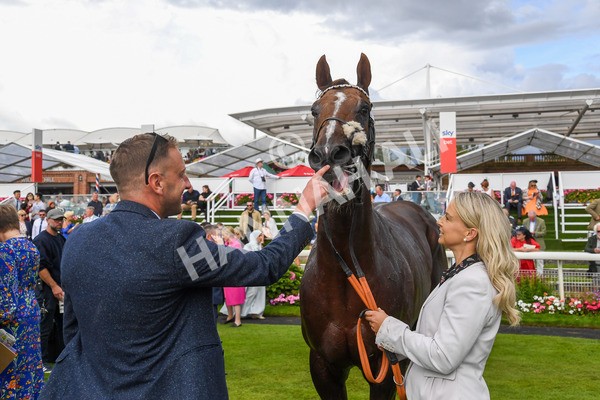 260823-Race 5-Albasheer-1288 - Race 5 Sky Bet Constantine Handicap
