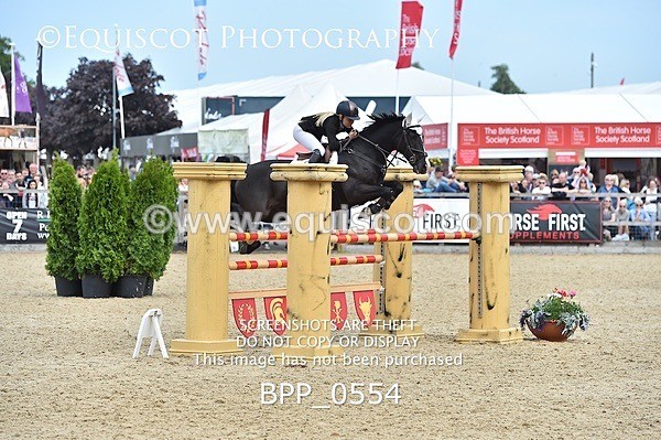 BPP_0554 - RHS 2019 Selection - *Just some random spectator shots so Lucky Dip if you are there!