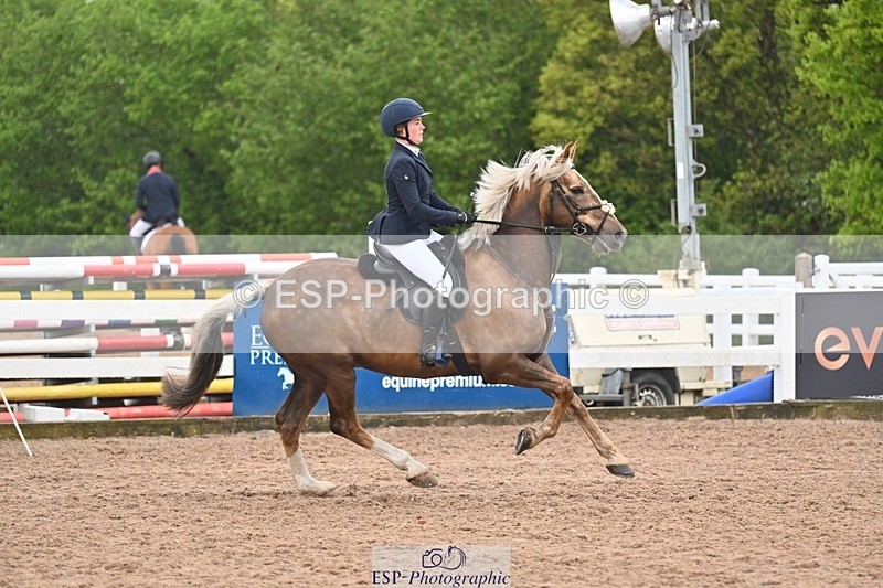260508-083902-04203 - Cls 17 British Novice and 90cm Open
