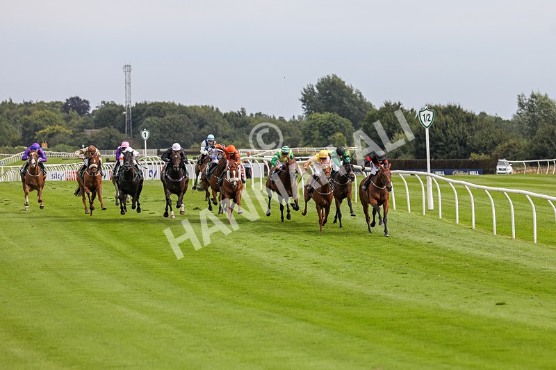 240724-Race 4-Swinging Eddie-3493 - Race 4