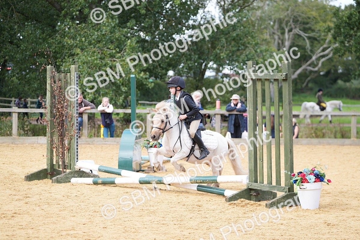 SBM_64577 - J2 - Mini Tour Junior Pony 30cm Championship