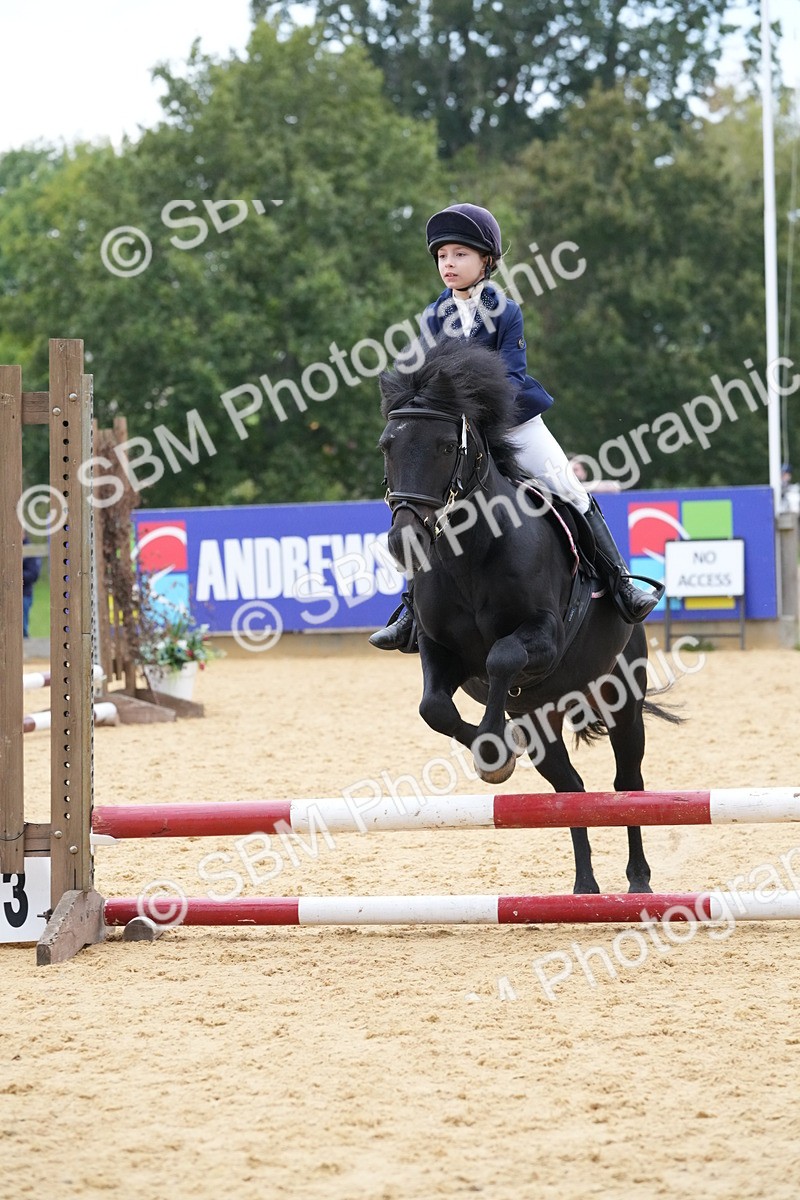 SBM_74557 - J4 - Mini Tour Junior Pony 45cm Championship