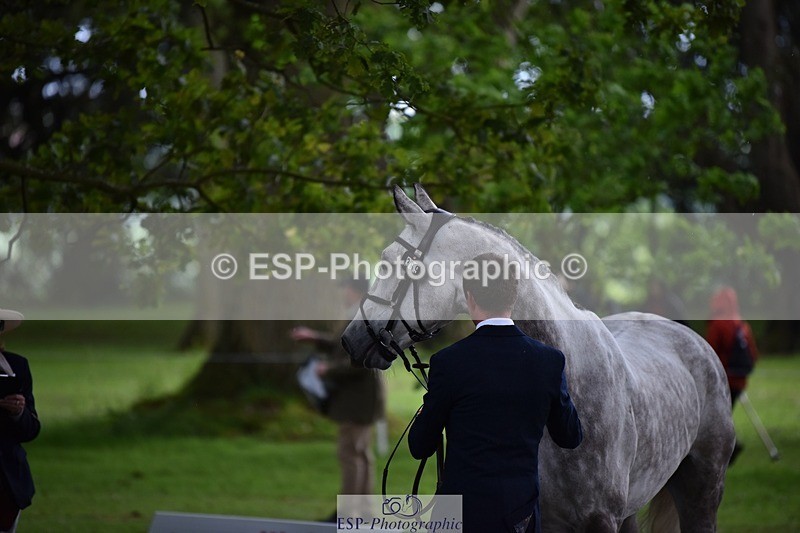 240522-150732-00102 - 369-STARMAN_III-Matthew_Hecking