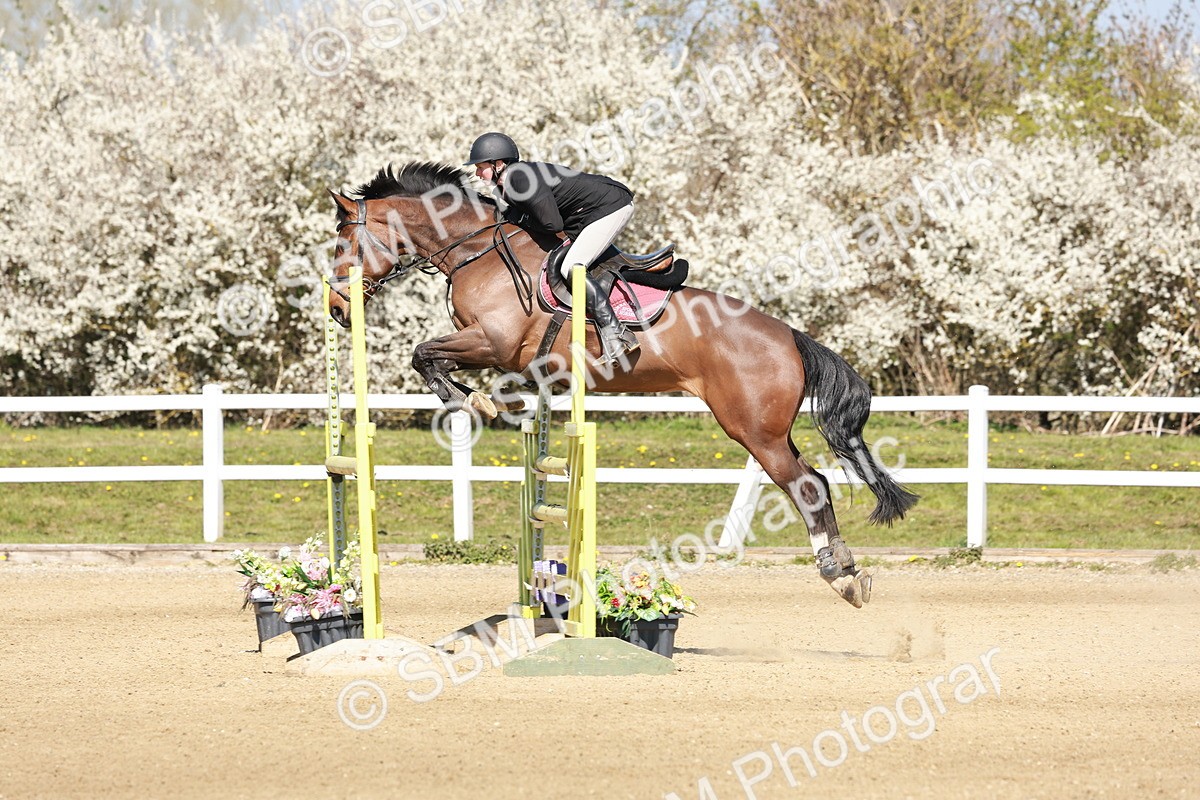 SBM_004087 - Class 17 - Senior Newcomers - 1.10m