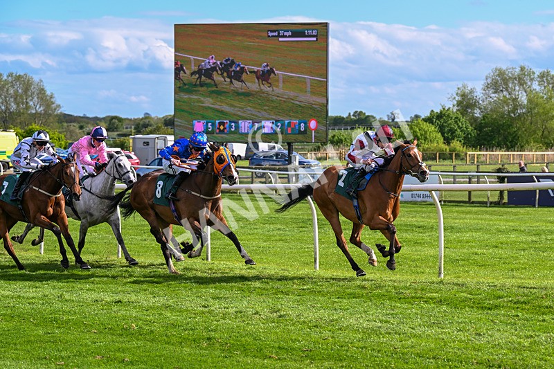 110526-Race 6-Betties Bay-1246 - Race 6 5.00pm Racing Again 21st May Fillies' Handicap