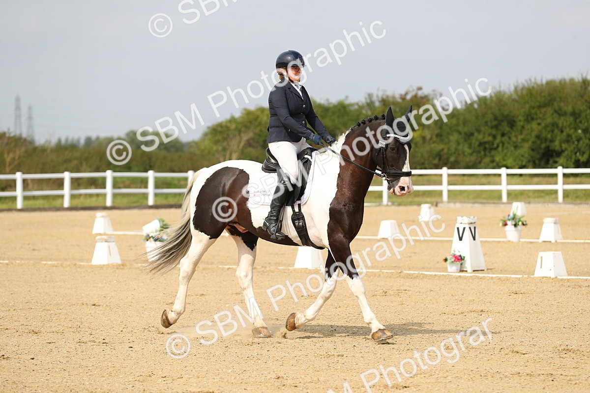 SBM_017275 - Class 13 - Novice 23 - 13.31-14.13