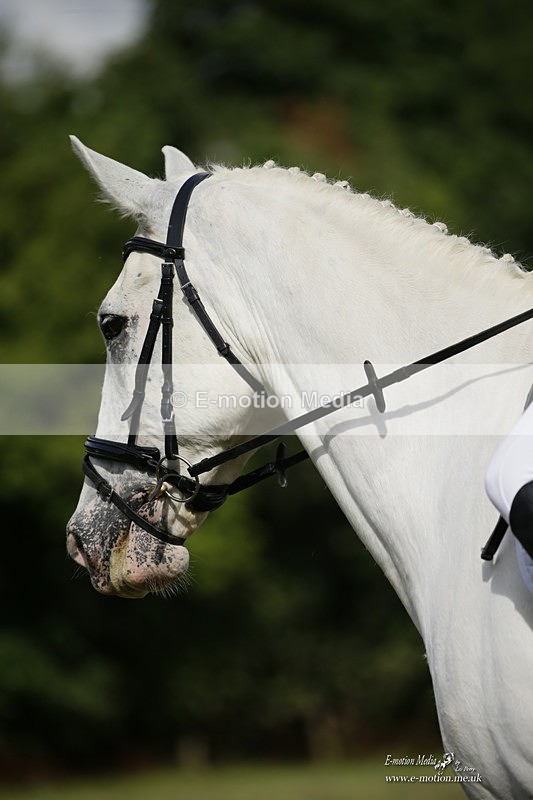 BVRC 120921 341 - Bourne Valley Riding Club UA Dressage & Show Jumping 12/09/21
