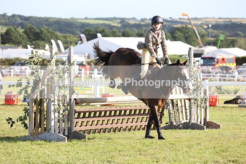 JPP_3224 - Class 21: Working Hunter 80cm