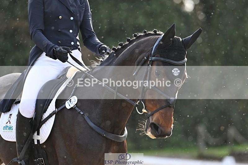 251023A-151305-05694 - B-163-Molly.Grew