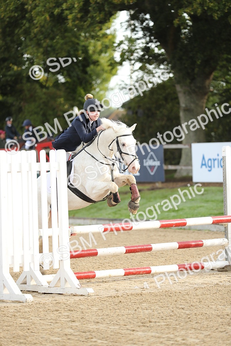 SBM_55978 - J24 - Junior Horse 75cm Championship