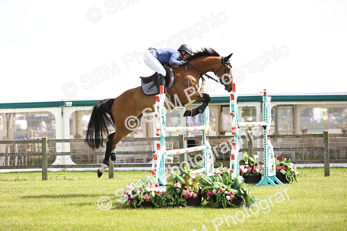 SBM_03048 - Class 201 - British Horse Feedds Speedi Beet HOYS Grade C