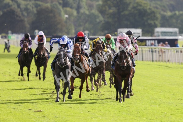 yr24092021r4-16 - Race 4 3.15pm William Hill Play Responsibly British EBF Restricted Novice Stakes