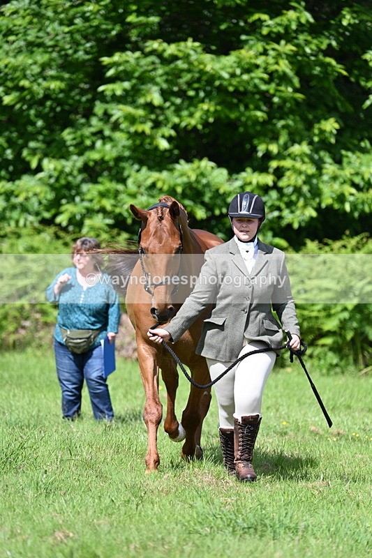 WJ7_1072 - Class 11 Condition & Turnout