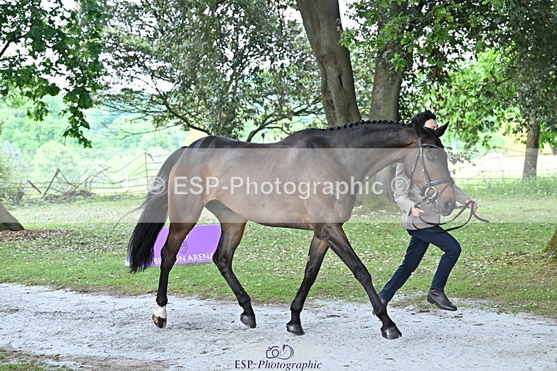 250521A-170204-01482 - C-280-Ryo.Murata-BROOKPARK.VIKENTI