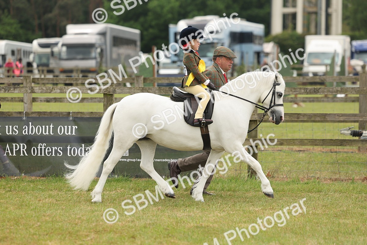 SBM_06840 - Class 74-75 - M&M Lead Rein and First Ridden Pony