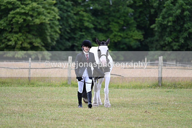 WJ7_6989 - Class 5a Most Handsome Gelding in Hand