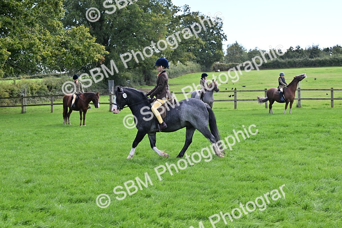 SBM_44510 - S13 - Pony Club Pony