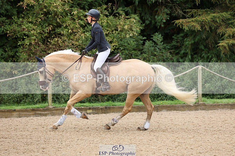 240817-083541-00073 - 01. Clear Round - 80cm