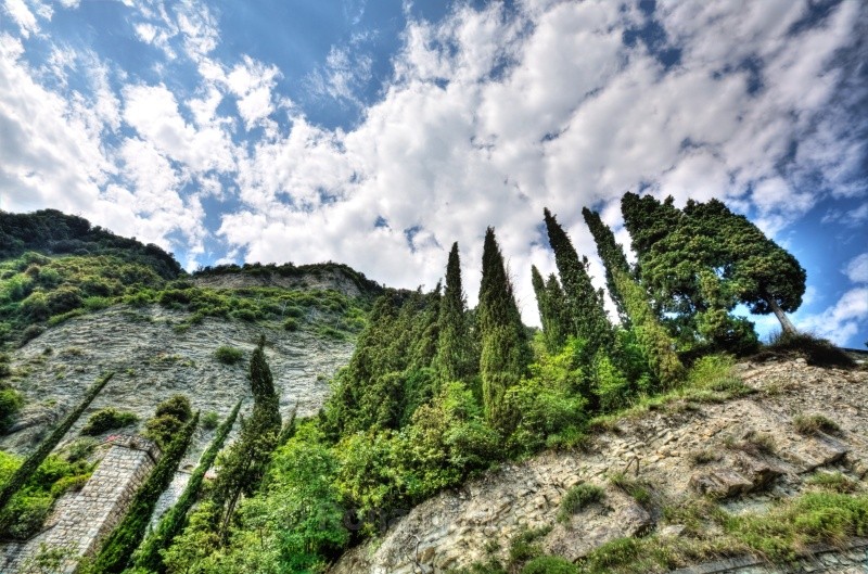 Cypress Trees - European Landscapes