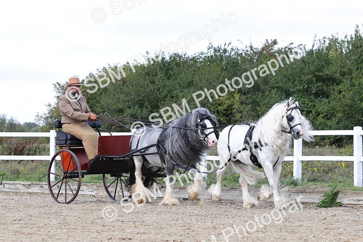 SBM_001166 - Class 16 - Pairs ,Multiples and Tandems