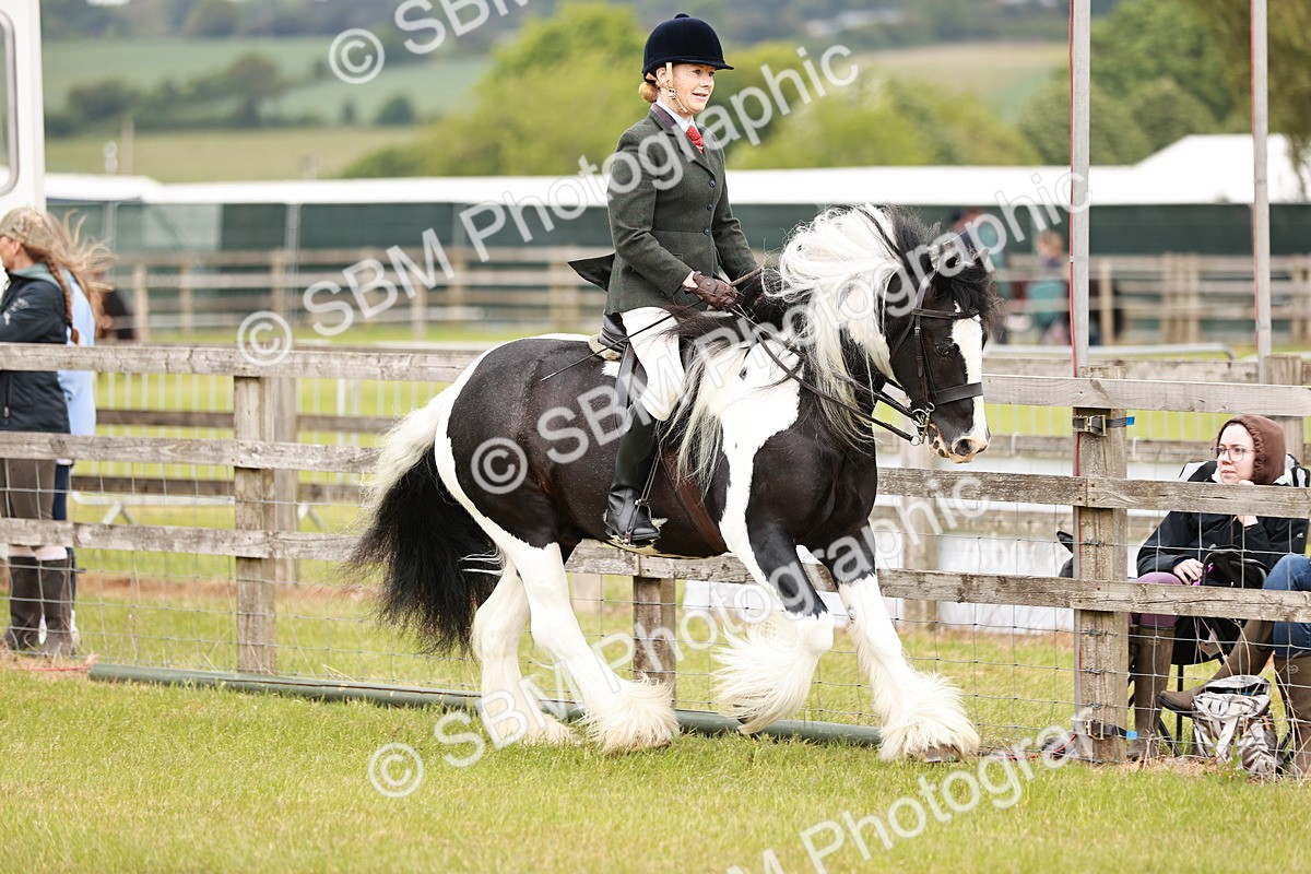 SBM_06130 - Class 39-41 TGCA In Hand and Ridden