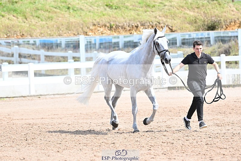 240717A-153954-02955 - Trot Up 3pm to 4pm