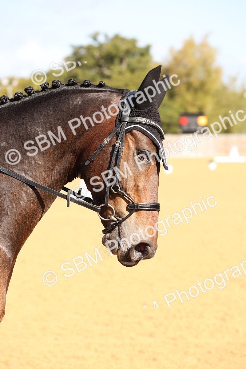 SBM_16238 - D10 - Small Tour Championship Prelim 2