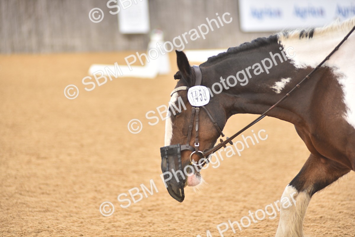 SBM_22356 - D13 - Grand Tour Championship Prelim 3