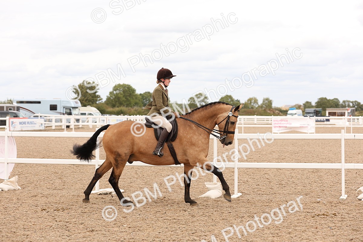 SBM_17211 - Class 213 - Ridden Hunter - Large