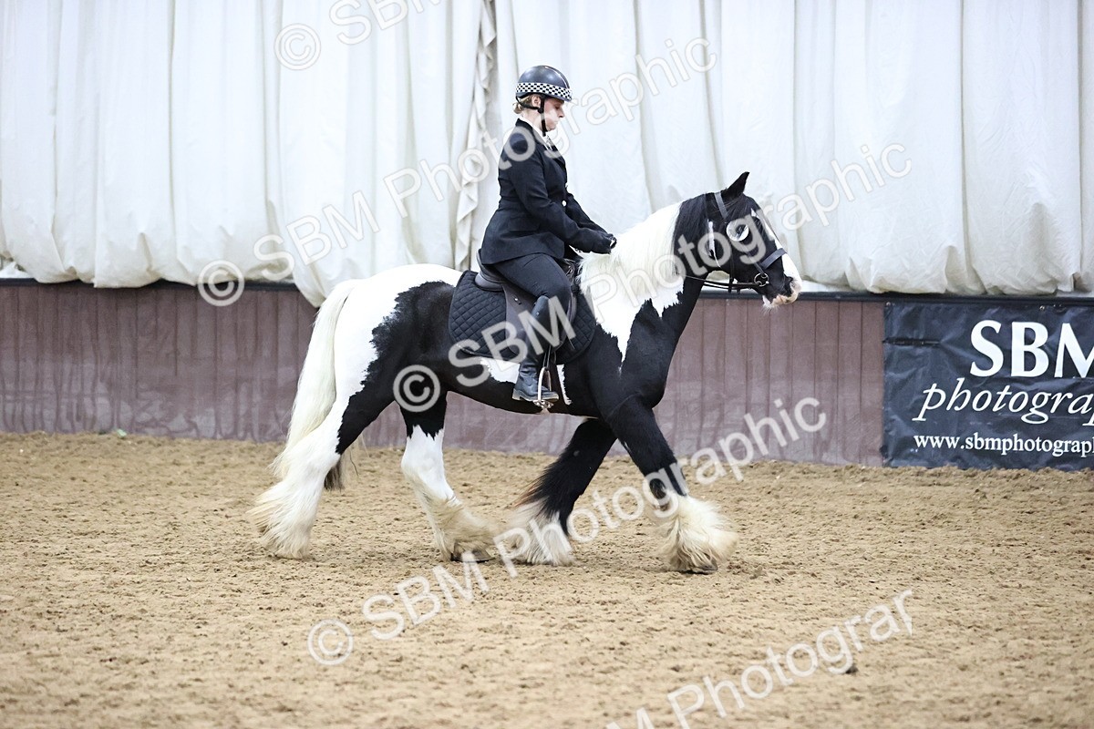 SBM_6334 - Class 45-42 - Ridden Irish Breeds-Ridden Cob