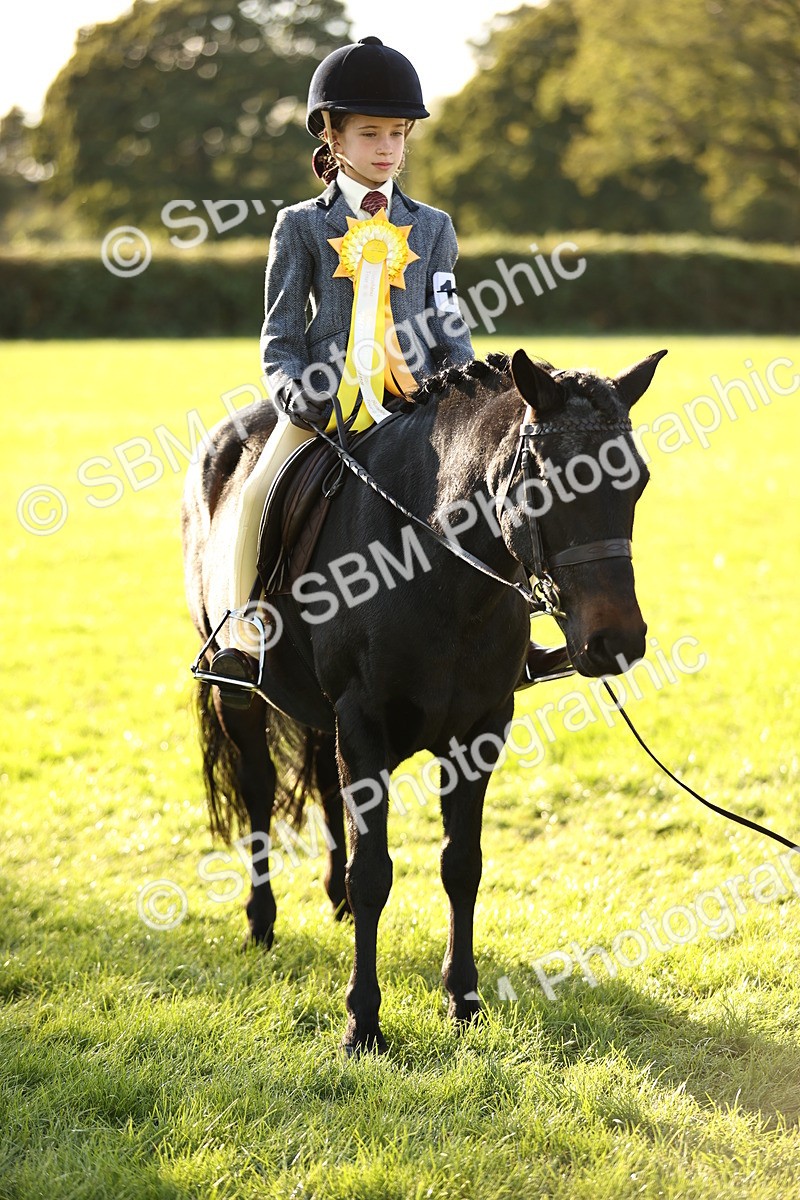 SBM_29502 - S7 - Novice & Newcomers Ridden Pony
