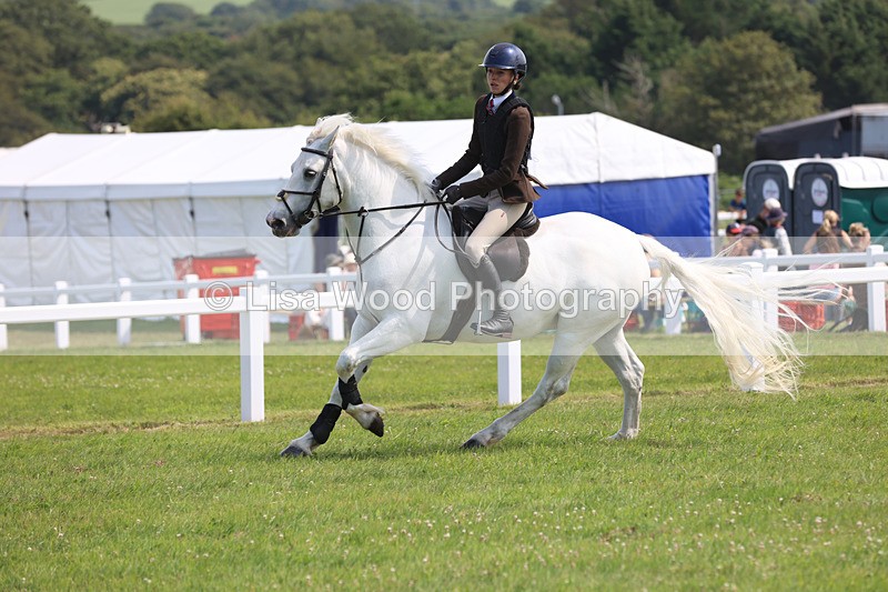 JPP_3706 - Class 23: Working Hunter 80cm
