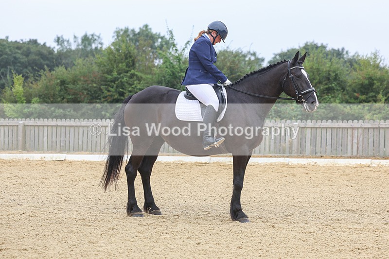 3E7A5313 - Class 2: Intro 4 2024 section B