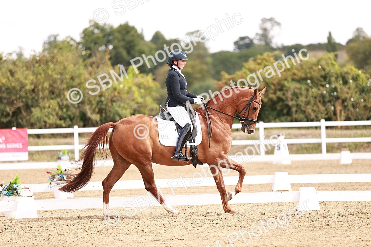 SBM_017682 - Class 11 - Advanced Medium 6