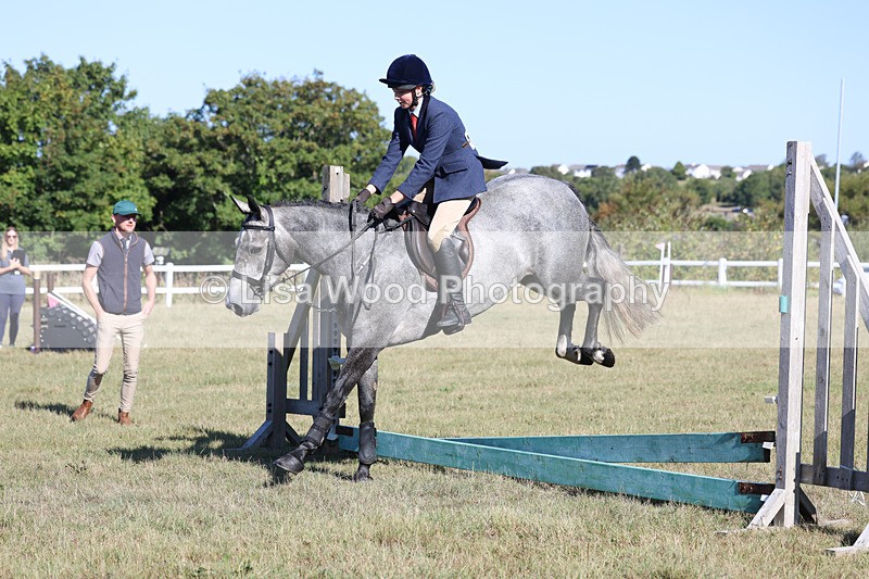 3E7A5459 - Class 3: Working Hunter 70cm