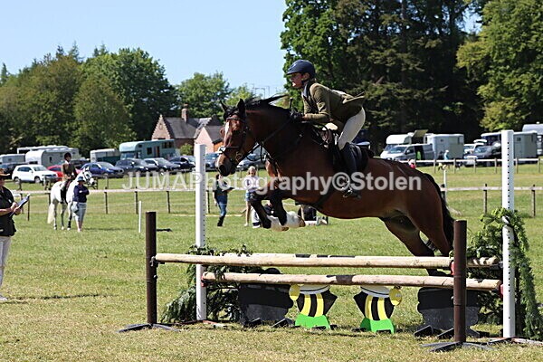 IMG_4221 - Working Hunter