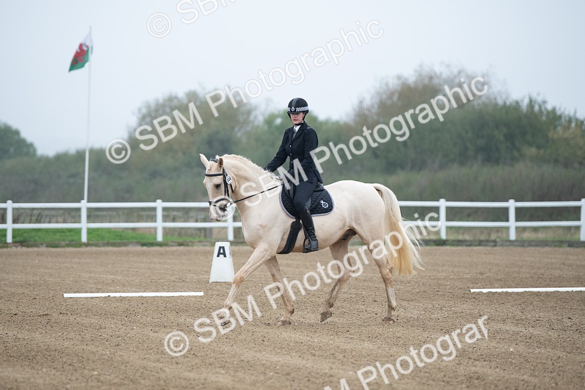 SBM_003340 - Introductory Test 3