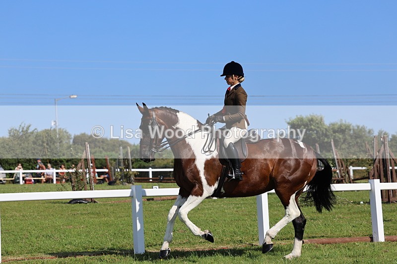 IMG_1662 - Skewbald and Piebald Ridden Championship