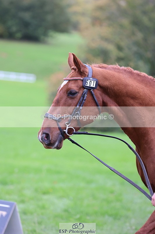 251026A-110552-23513 - H-601-Alexandra.Erskine.Scott