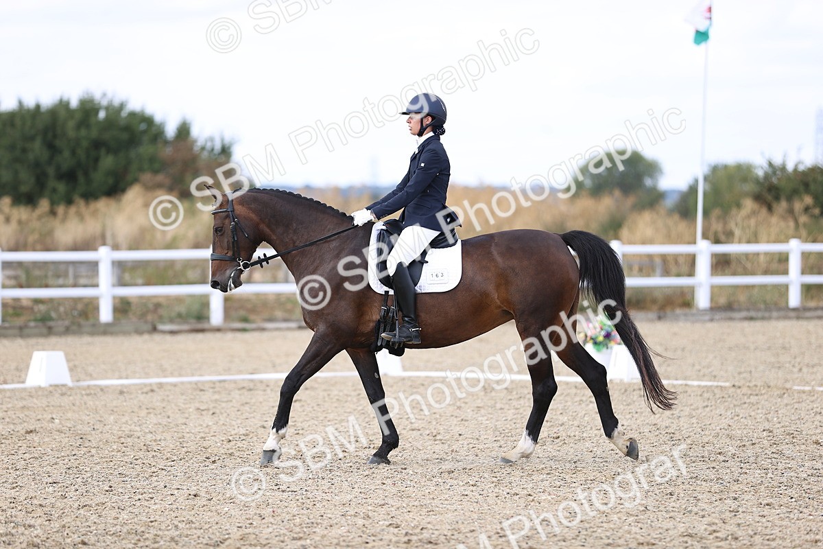 SBM_015285 - Class 5 - E5 Bronze 14.42.15.54