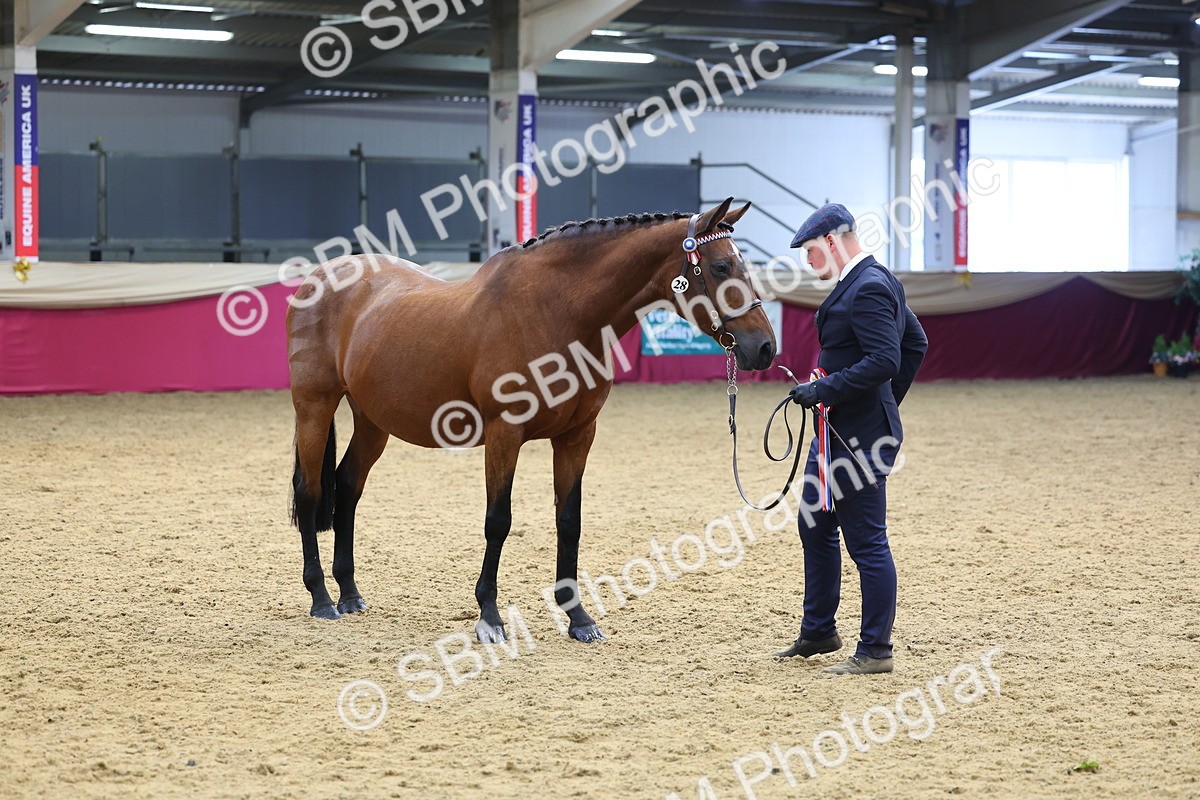 SBM_23240 - Supreme Final - IH Champion